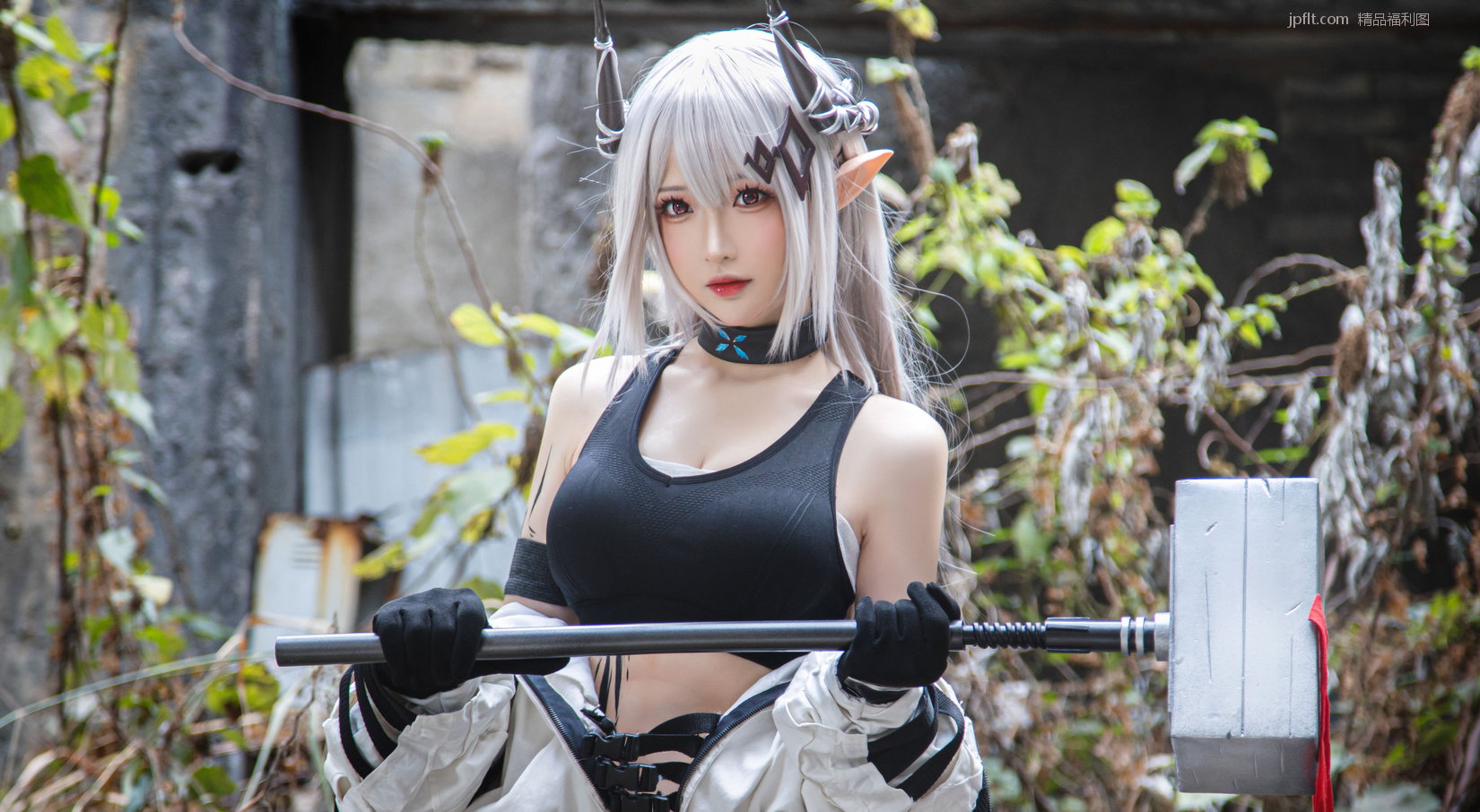 շ ] Ϲ /26P CoserƯС [Coser P.1 